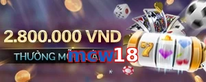 mcw18